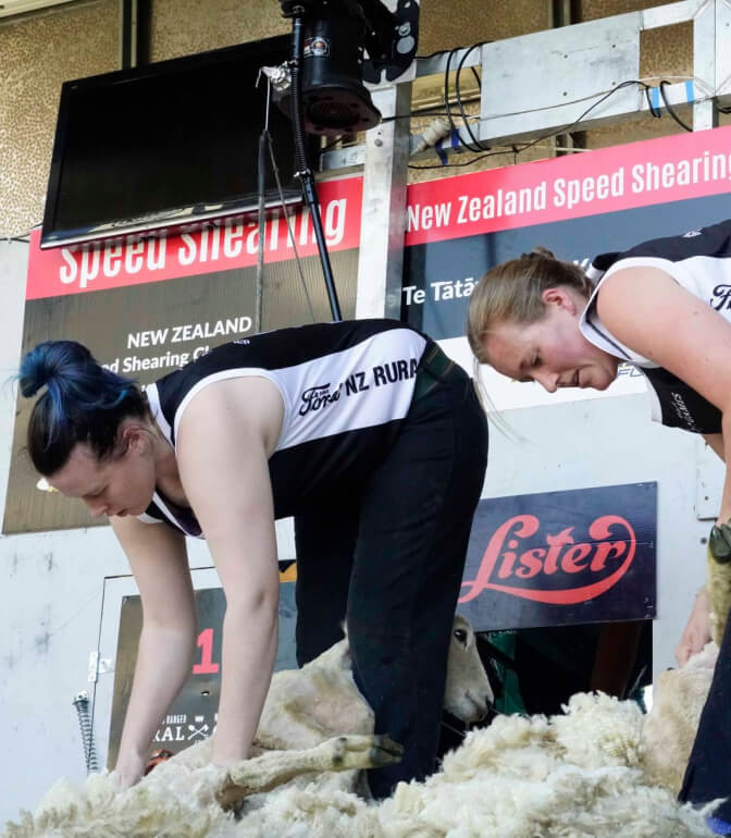 new zealand speed shearing championship